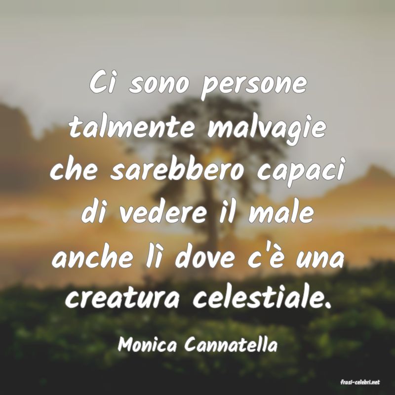 frasi di  Monica Cannatella
