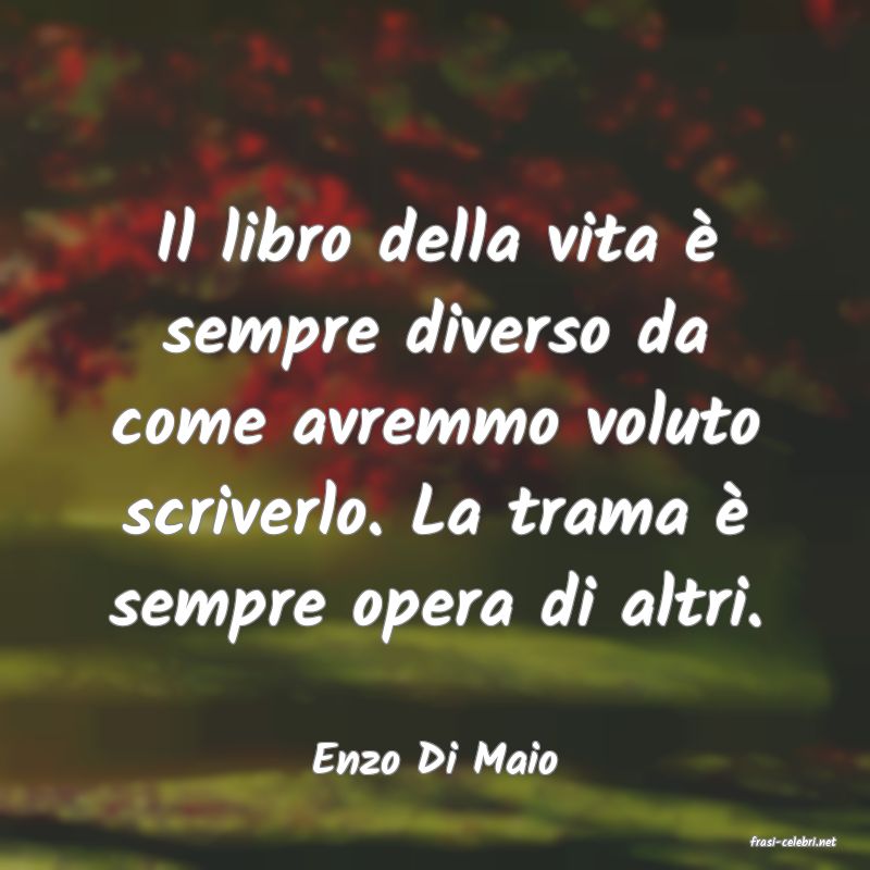 frasi di  Enzo Di Maio
