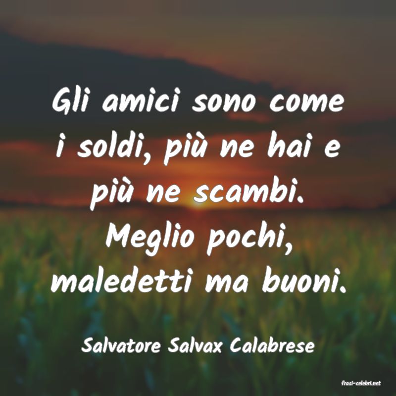 frasi di  Salvatore Salvax Calabrese
