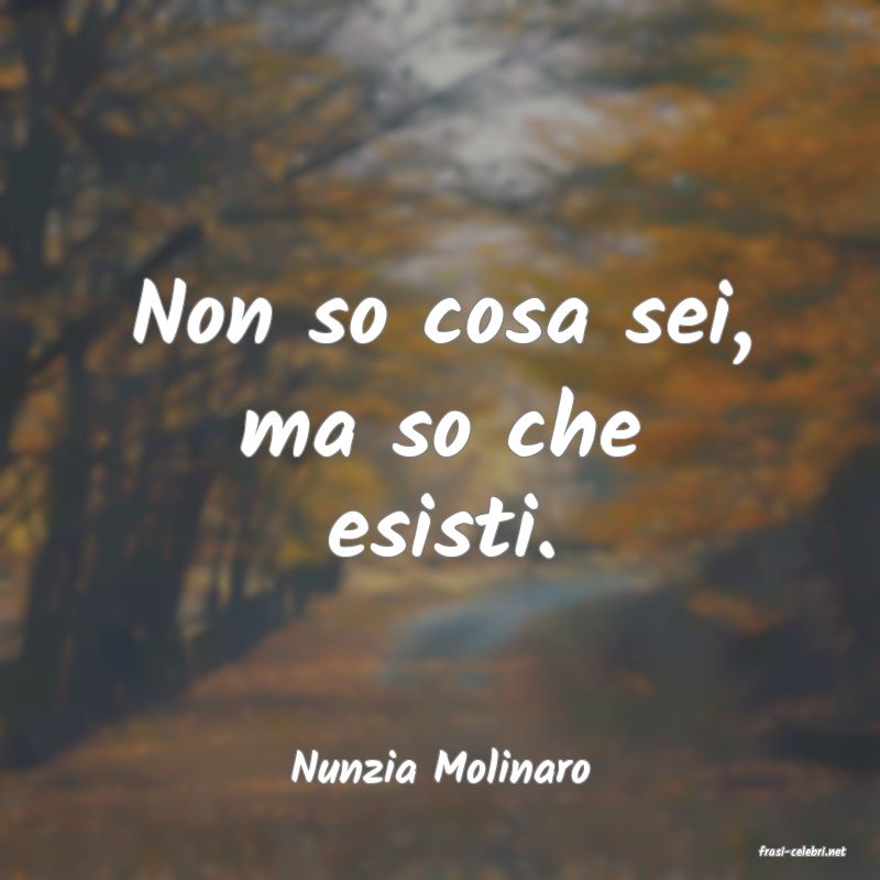 frasi di  Nunzia Molinaro
