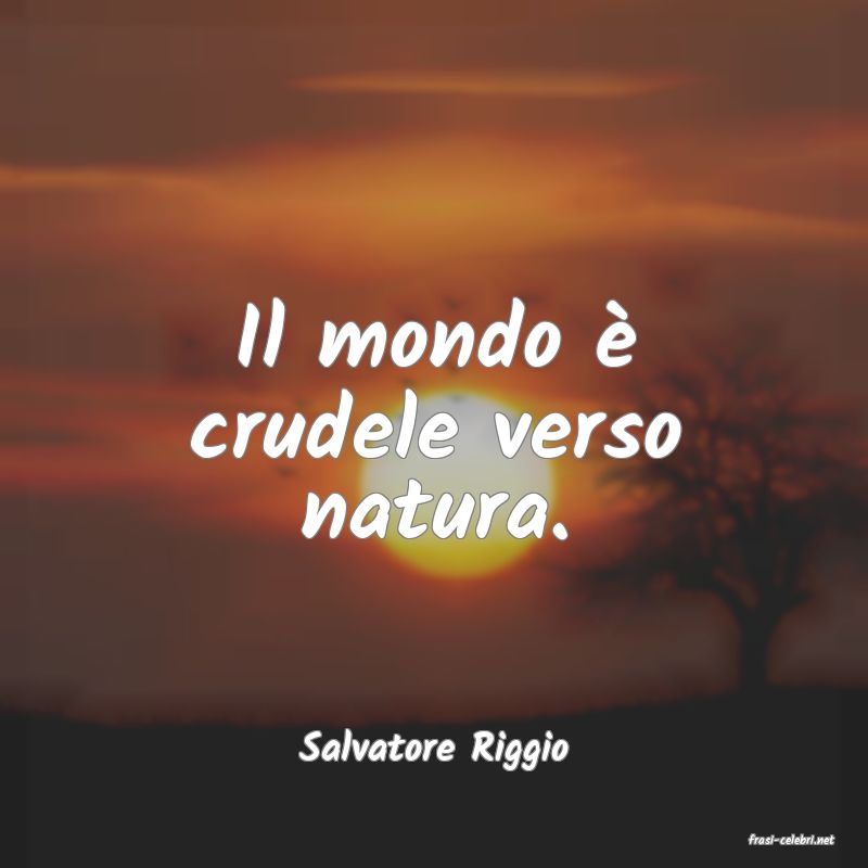 frasi di  Salvatore Riggio
