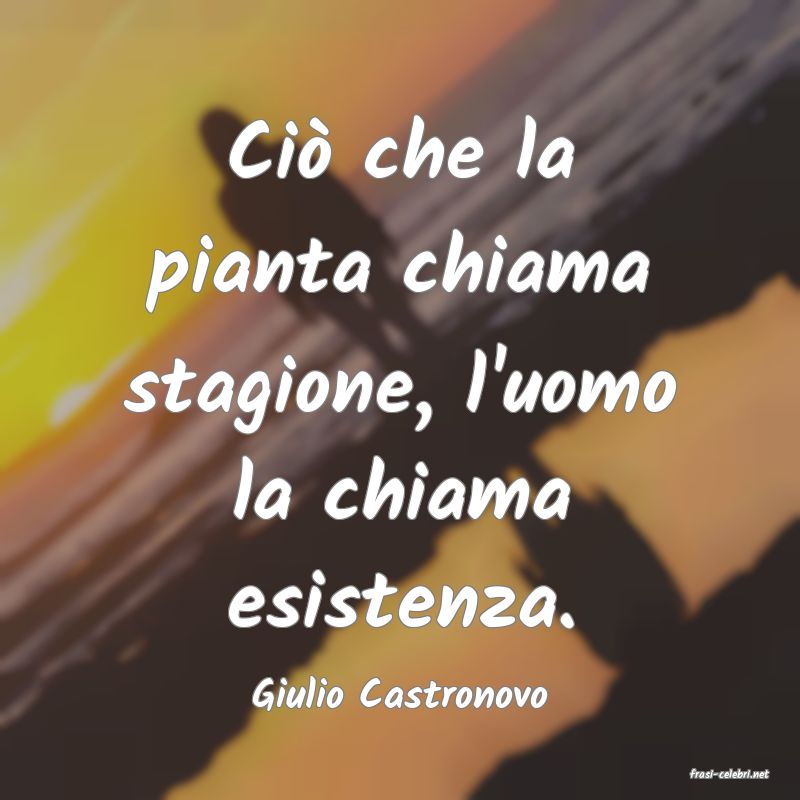 frasi di  Giulio Castronovo
