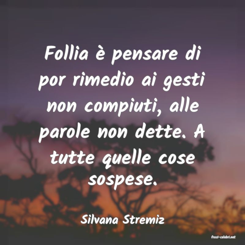 frasi di Silvana Stremiz