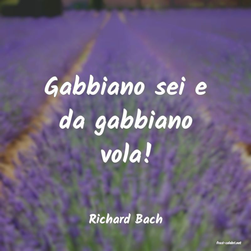 frasi di  Richard Bach
