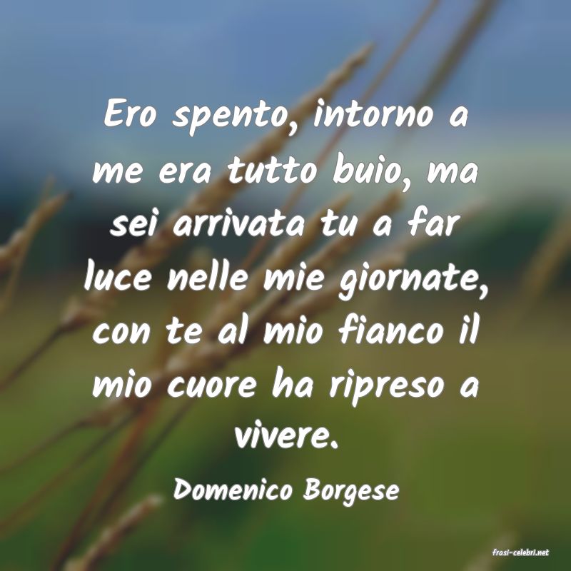 frasi di  Domenico Borgese
