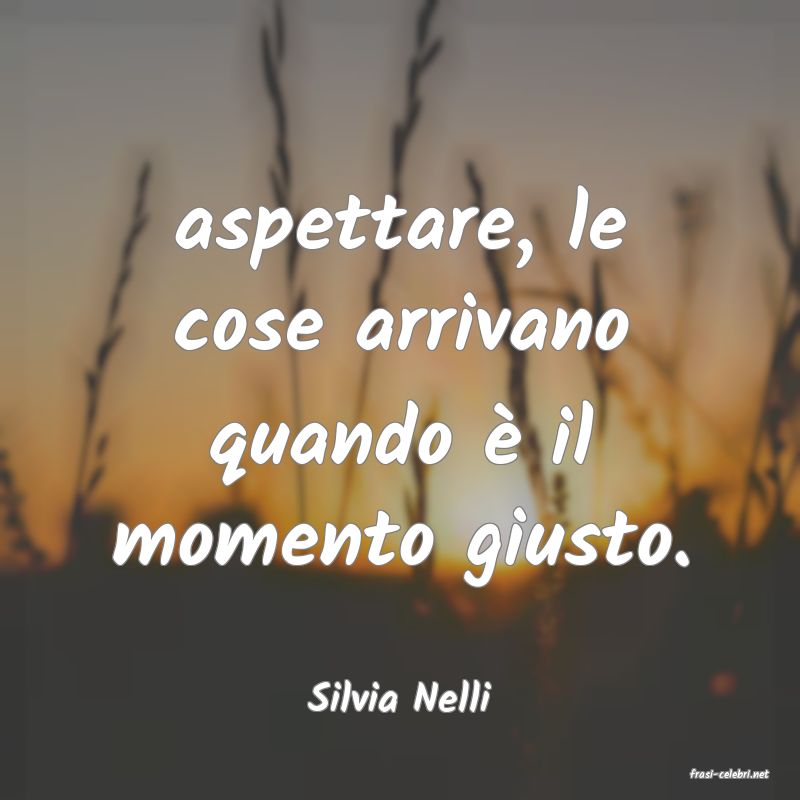 frasi di  Silvia Nelli
