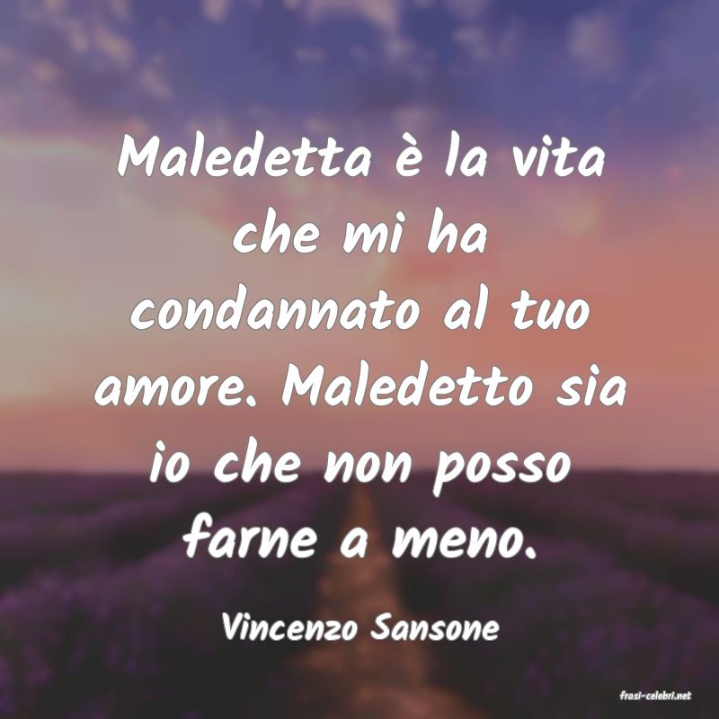 frasi di  Vincenzo Sansone
