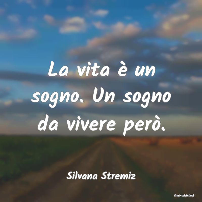 frasi di  Silvana Stremiz
