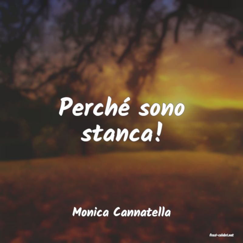 frasi di  Monica Cannatella
