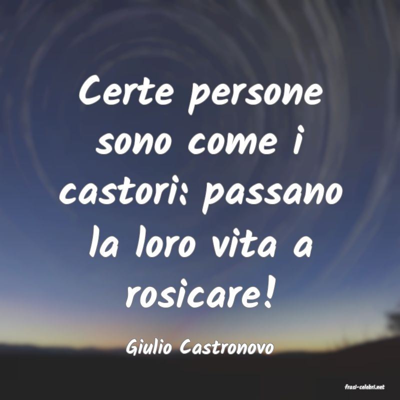 frasi di  Giulio Castronovo
