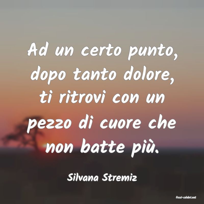 frasi di  Silvana Stremiz
