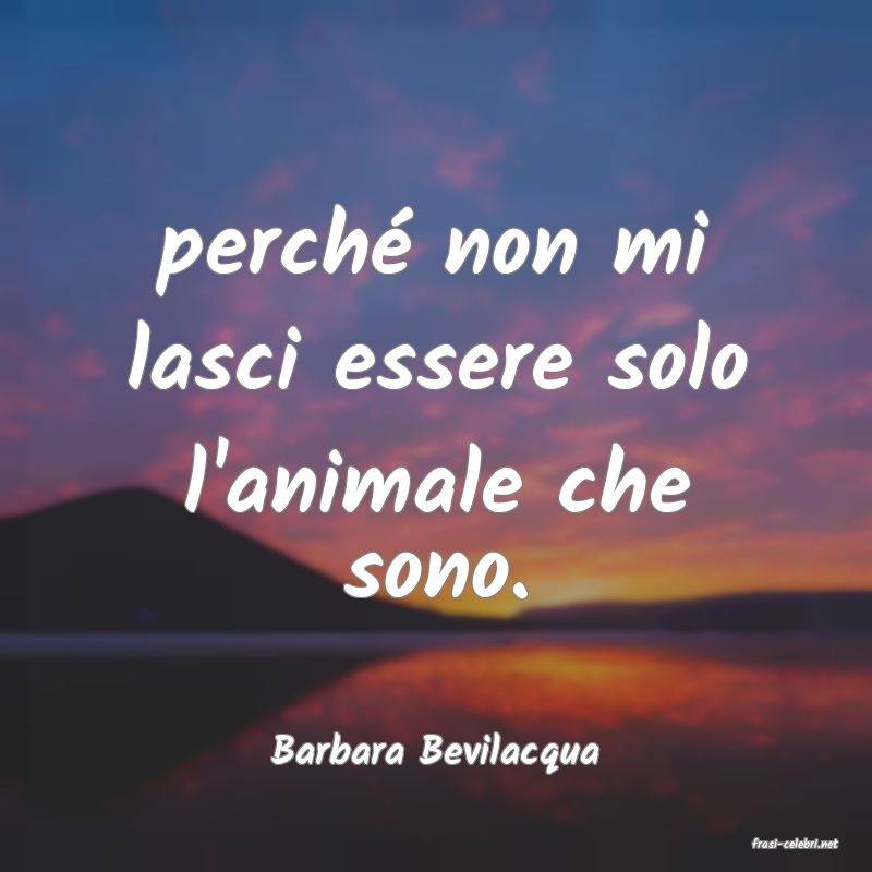 frasi di  Barbara Bevilacqua
