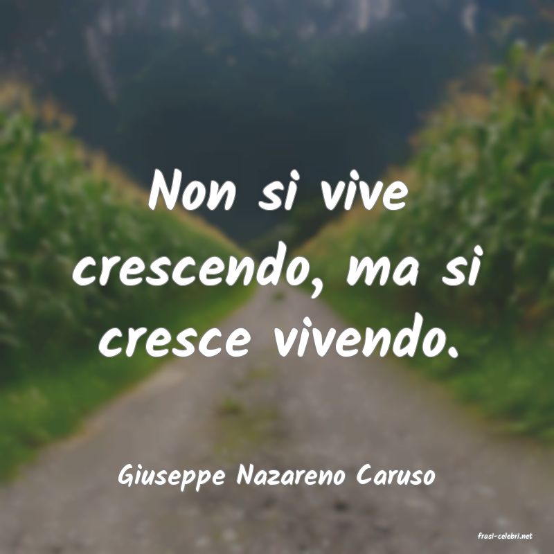 frasi di  Giuseppe Nazareno Caruso
