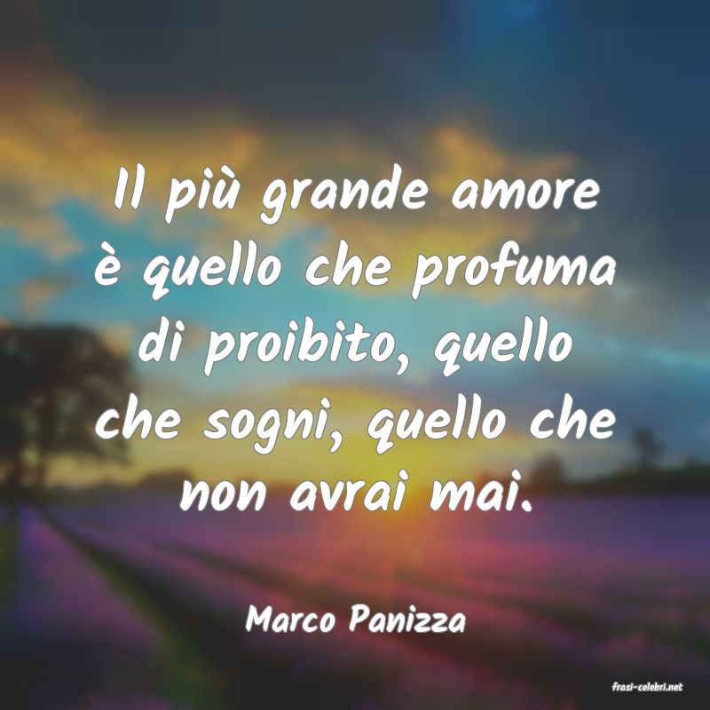 frasi di  Marco Panizza
