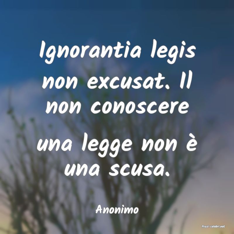 frasi di Anonimo