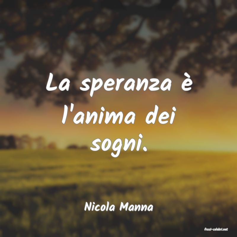 frasi di  Nicola Manna
