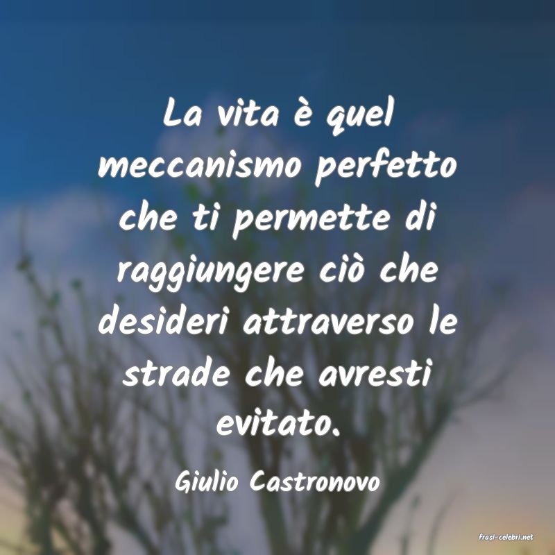 frasi di  Giulio Castronovo
