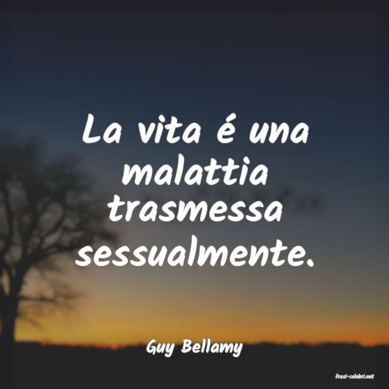 frasi di Guy Bellamy