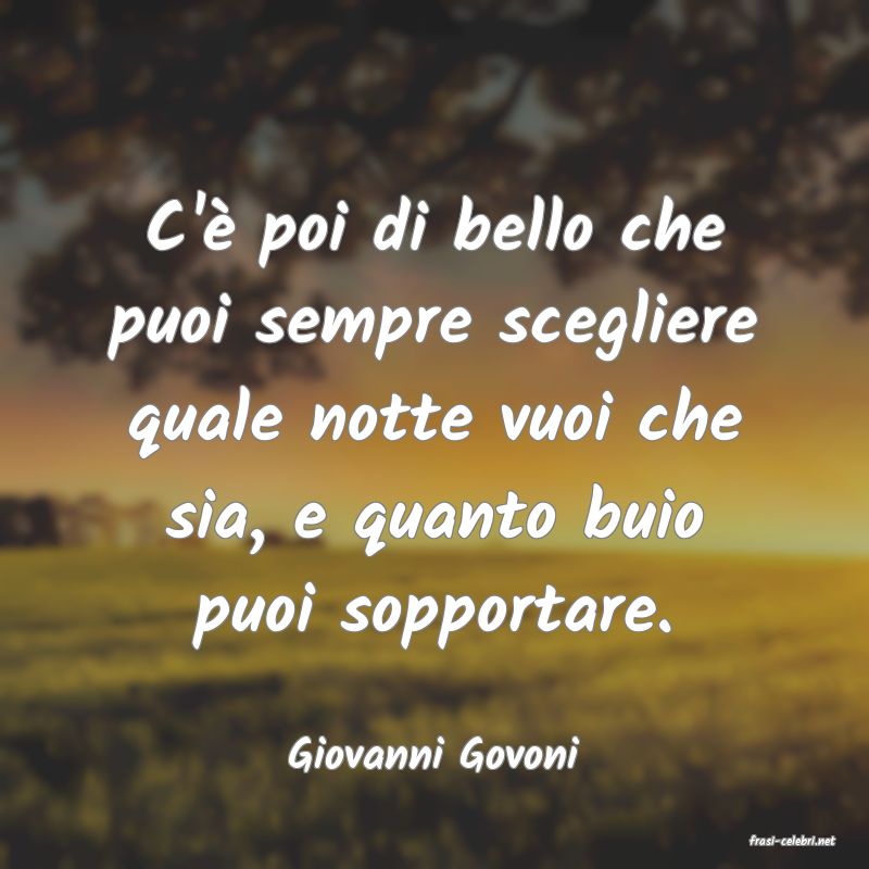 frasi di  Giovanni Govoni
