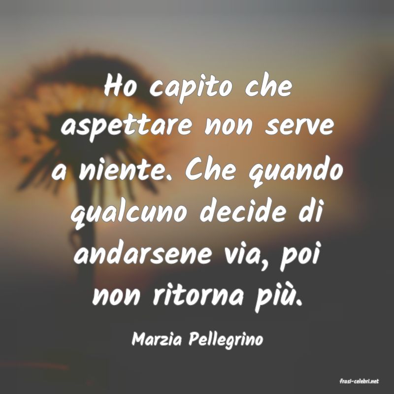 frasi di  Marzia Pellegrino
