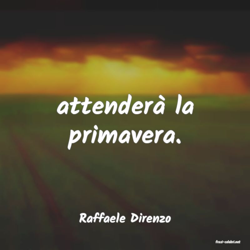 frasi di  Raffaele Direnzo
