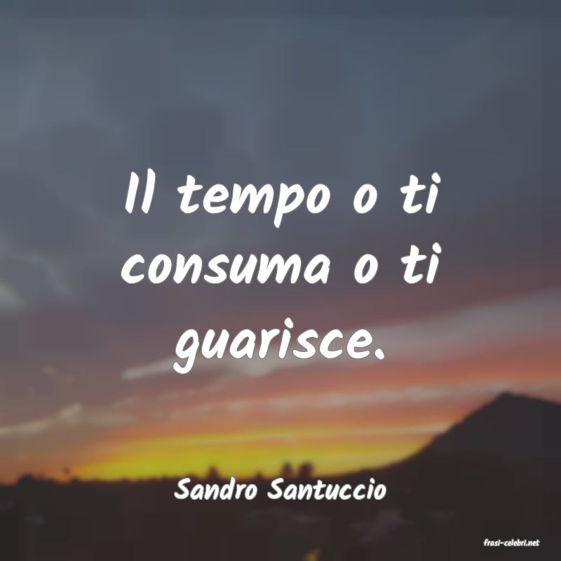 frasi di  Sandro Santuccio
