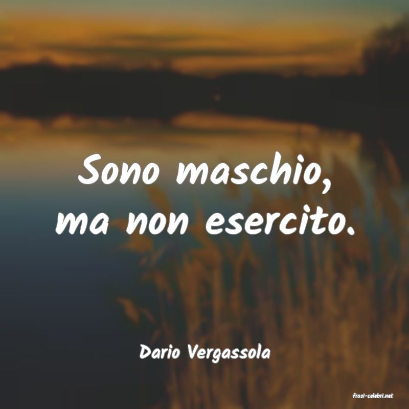 frasi di  Dario Vergassola
