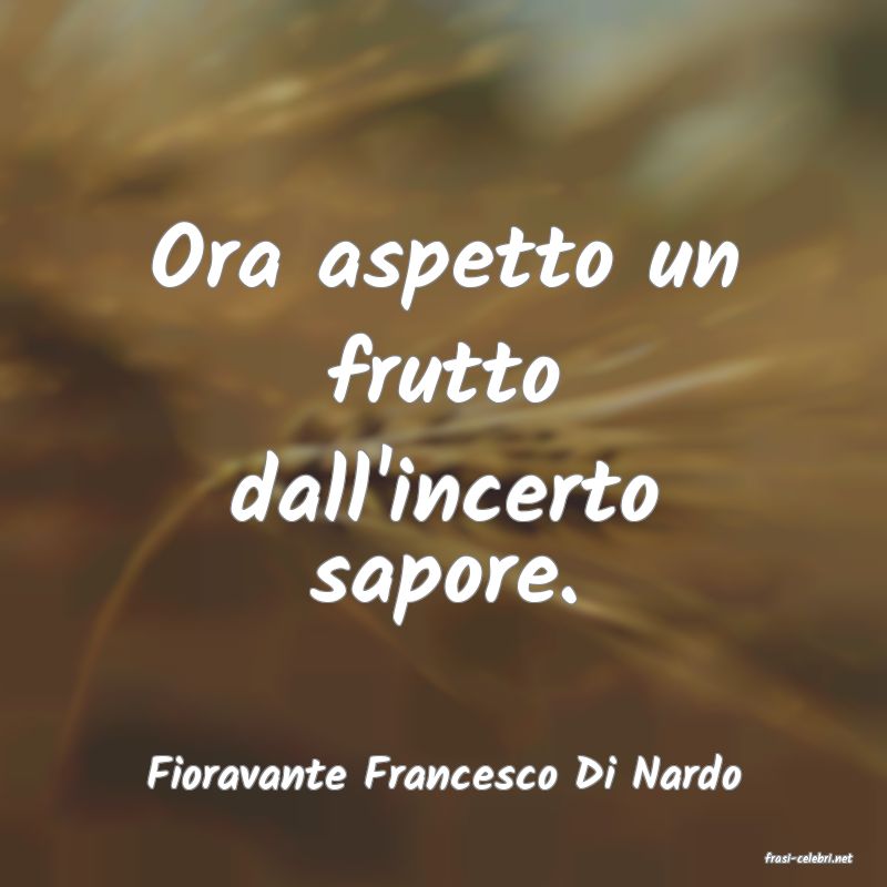 frasi di  Fioravante Francesco Di Nardo
