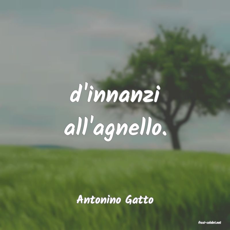 frasi di  Antonino Gatto
