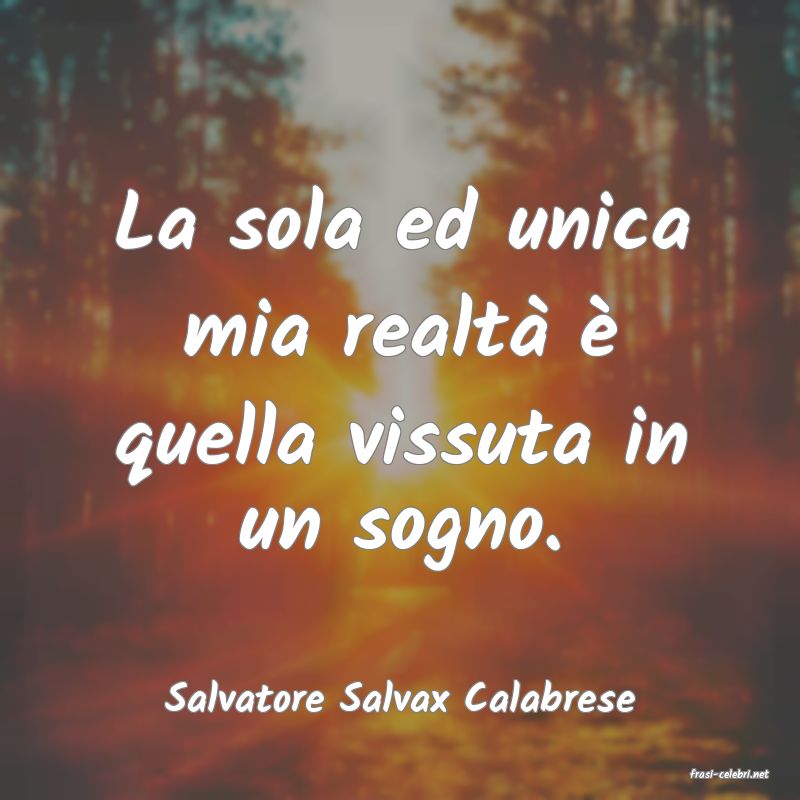 frasi di  Salvatore Salvax Calabrese
