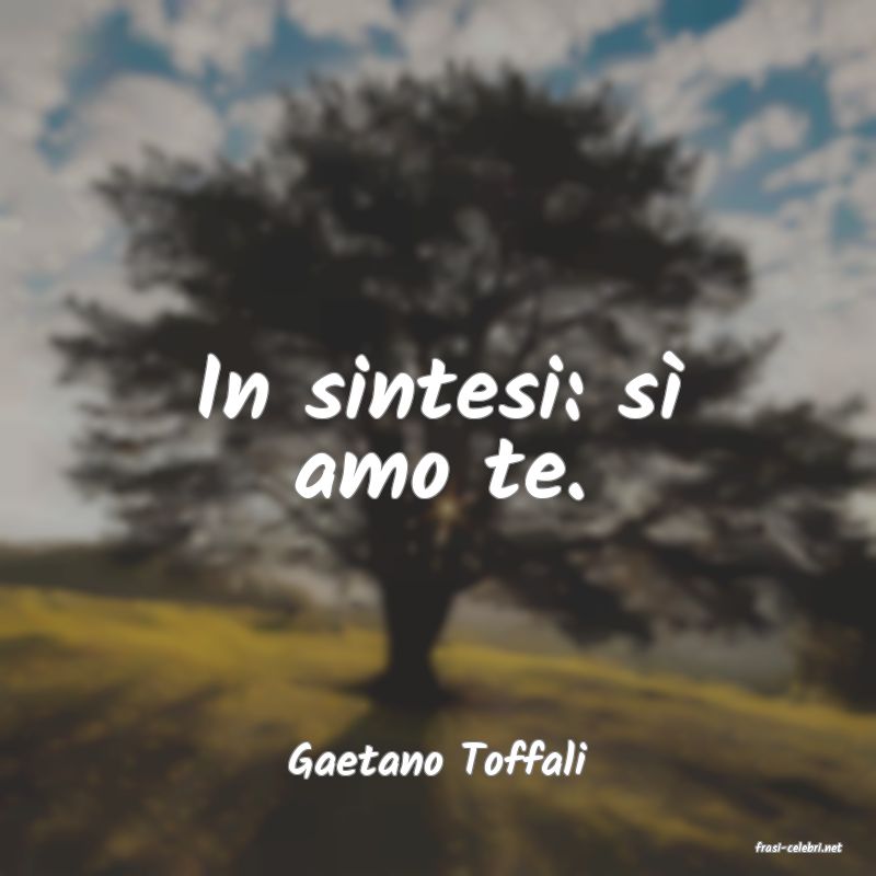 frasi di  Gaetano Toffali
