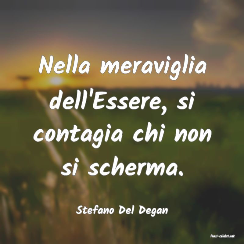 frasi di  Stefano Del Degan
