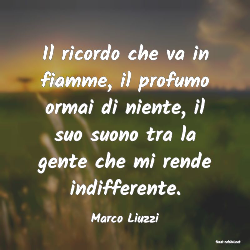 frasi di  Marco Liuzzi
