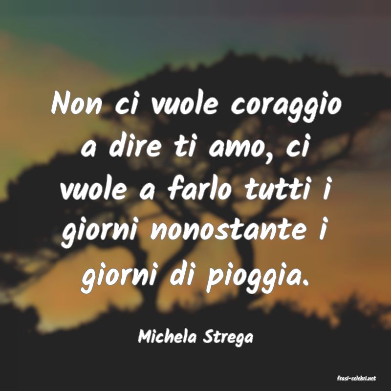 frasi di  Michela Strega
