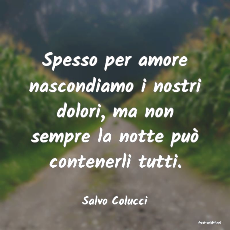 frasi di  Salvo Colucci
