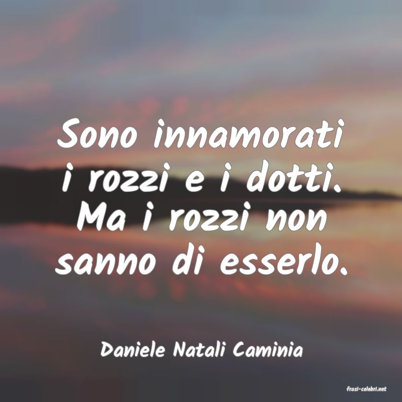 frasi di  Daniele Natali Caminia
