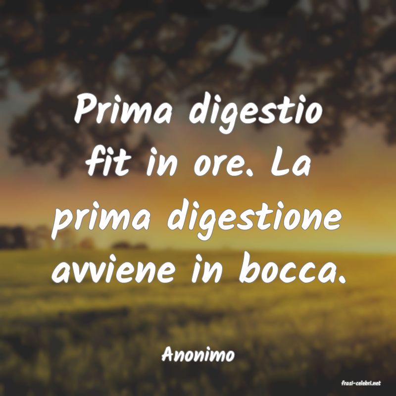 frasi di Anonimo