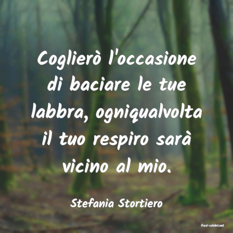 frasi di  Stefania Stortiero
