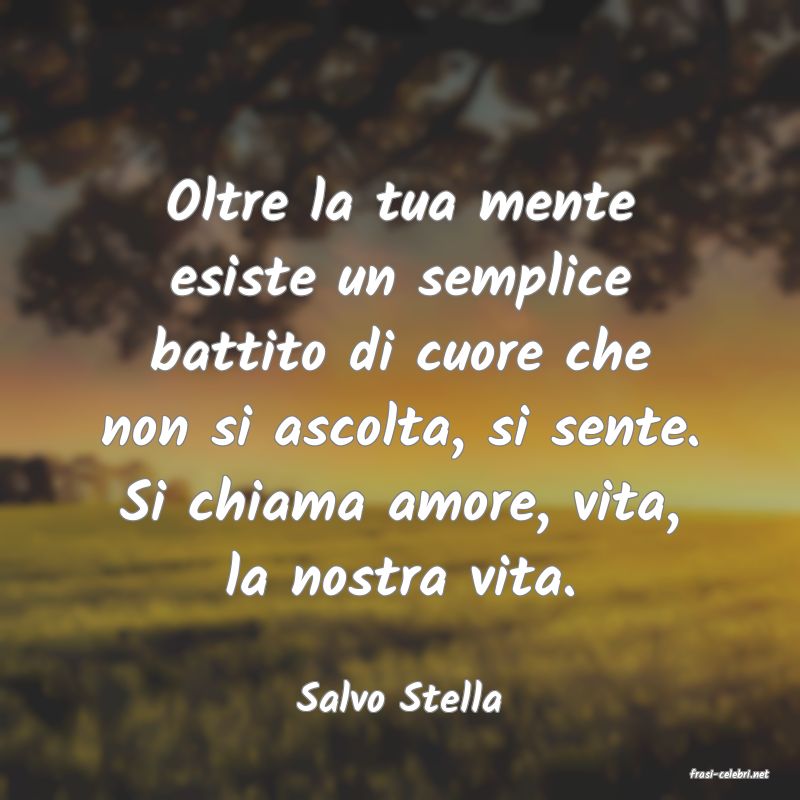 frasi di  Salvo Stella
