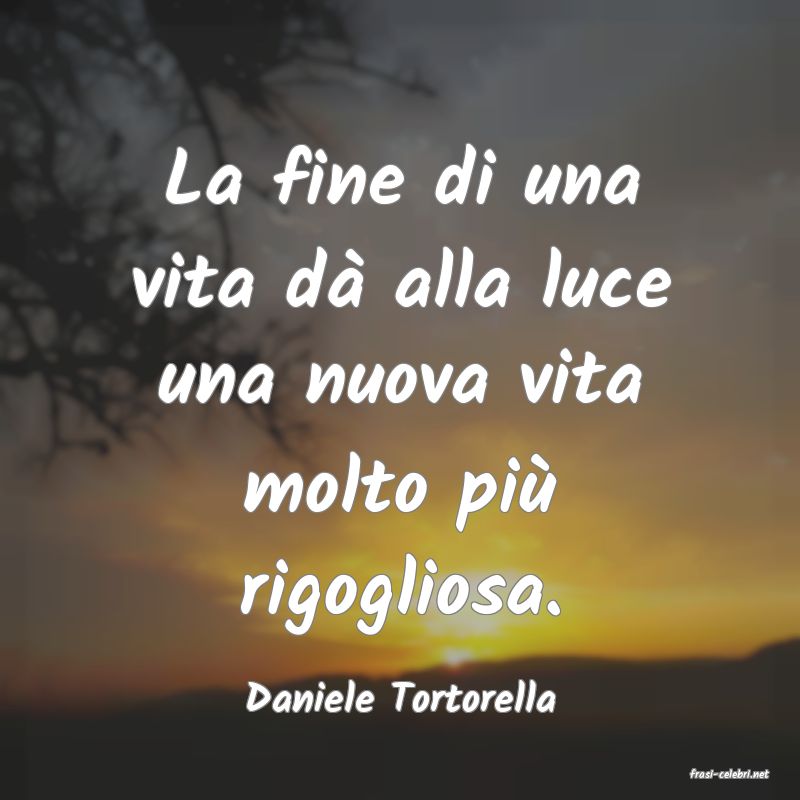 frasi di  Daniele Tortorella
