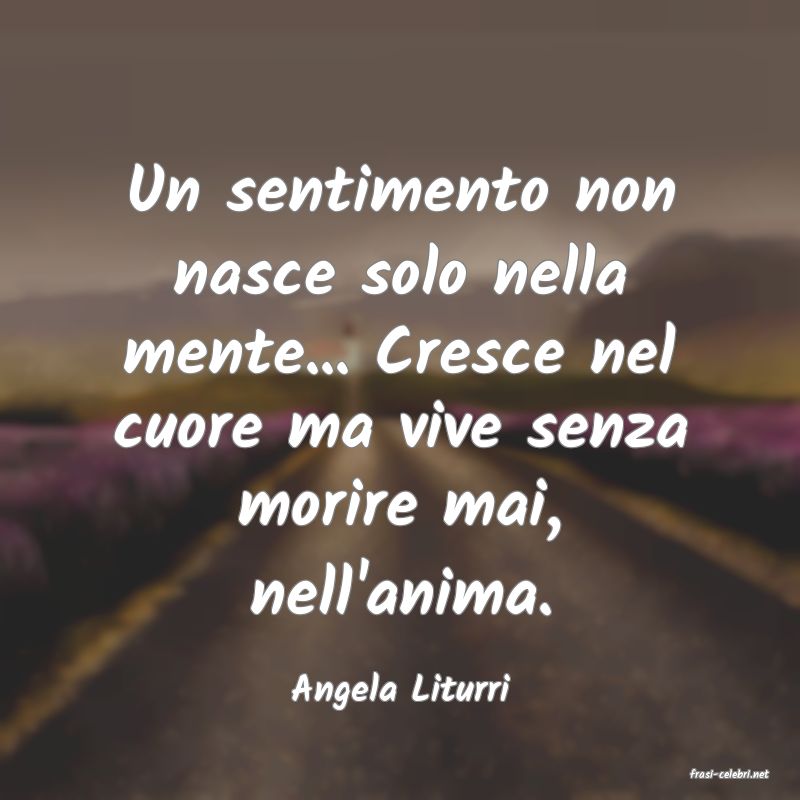 frasi di  Angela Liturri
