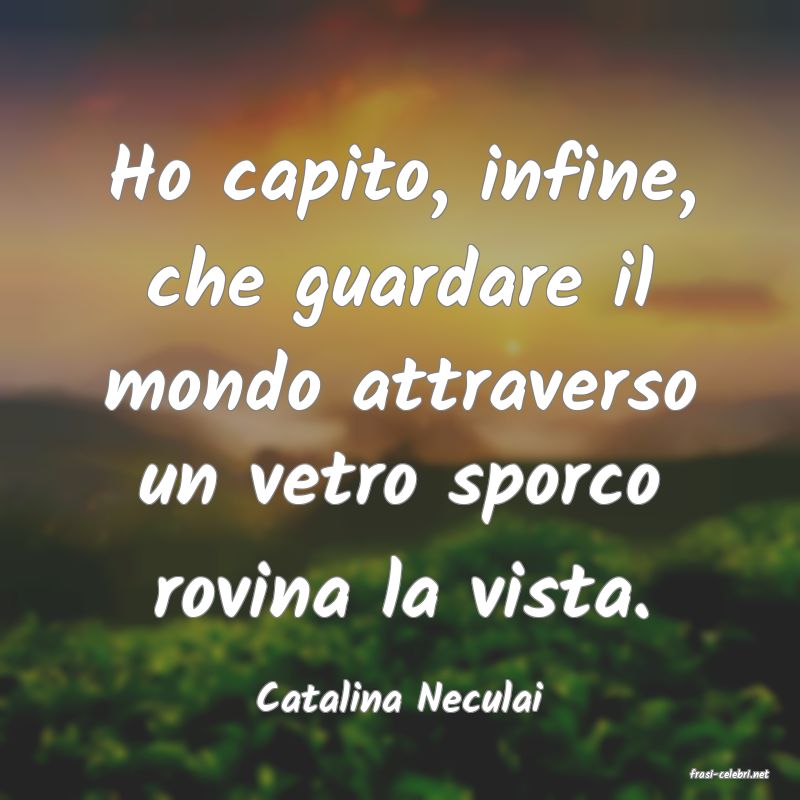 frasi di  Catalina Neculai
