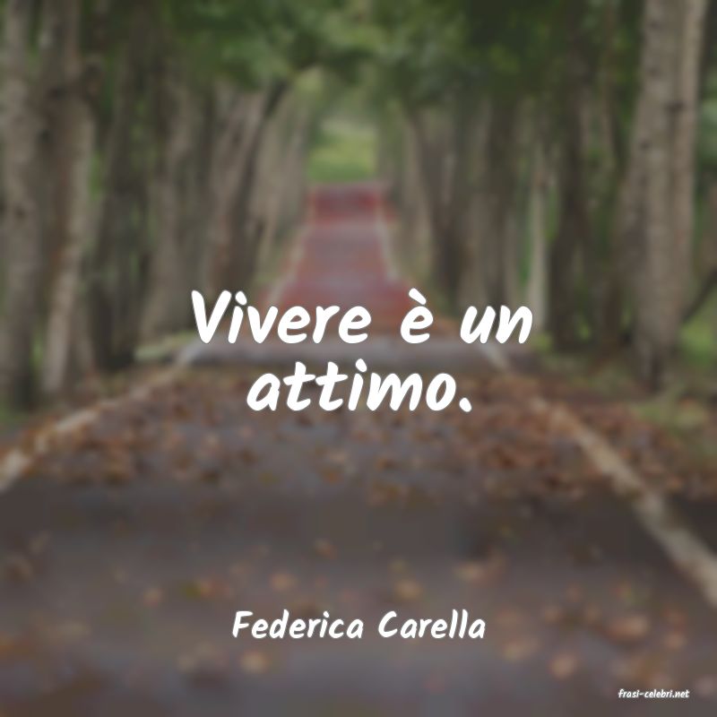 frasi di  Federica Carella
