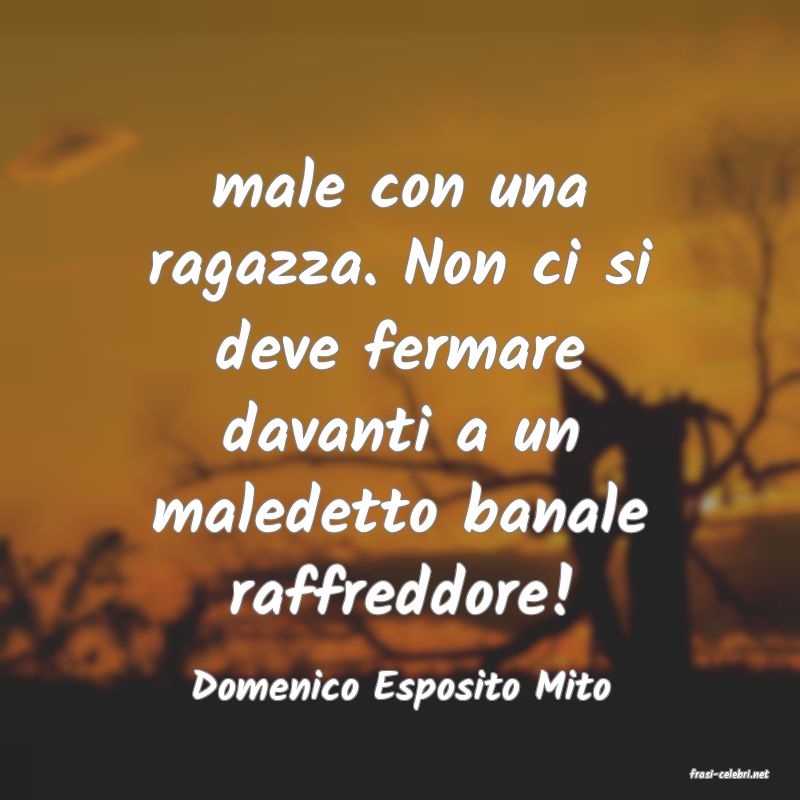 frasi di  Domenico Esposito Mito
