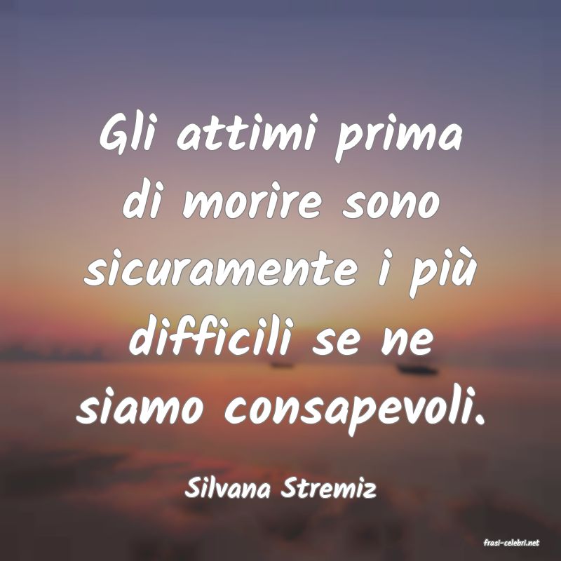 frasi di  Silvana Stremiz
