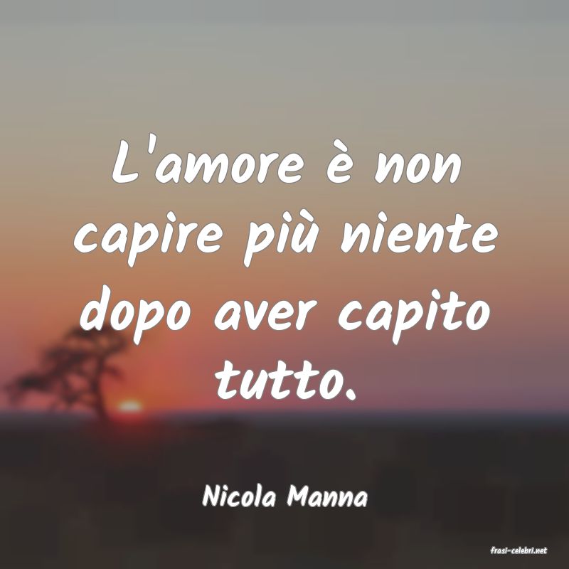 frasi di  Nicola Manna
