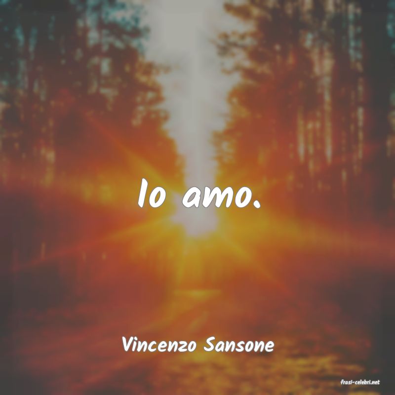 frasi di  Vincenzo Sansone
