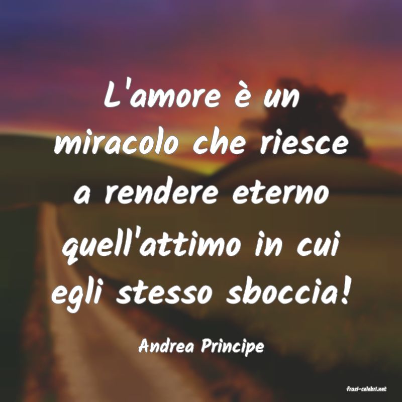 frasi di  Andrea Principe
