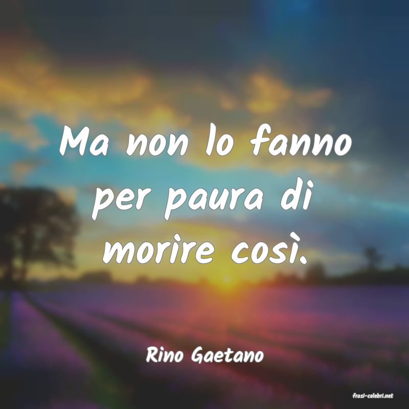 frasi di  Rino Gaetano
