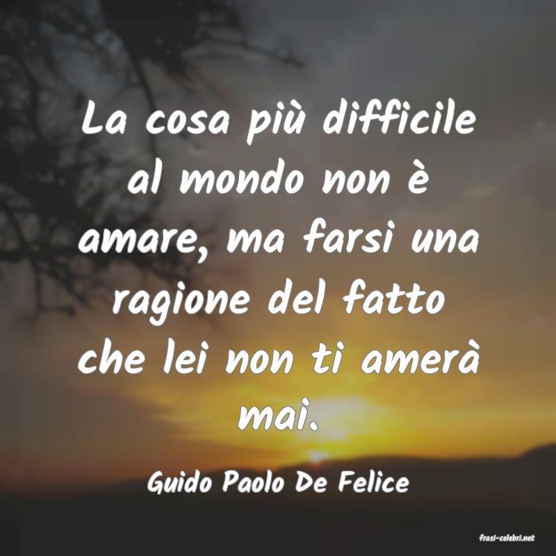 frasi di  Guido Paolo De Felice
